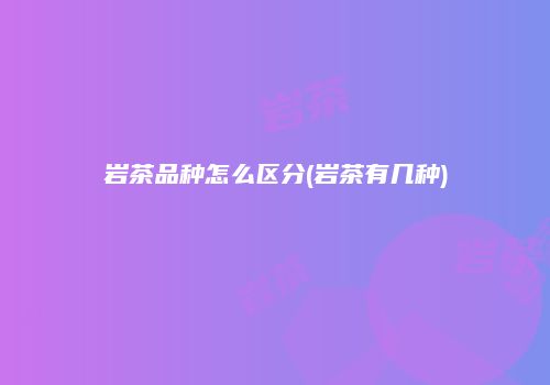 岩茶品种怎么区分(岩茶有几种)