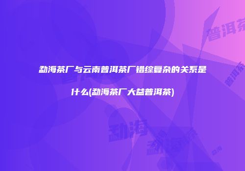 勐海茶厂与云南普洱茶厂错综复杂的关系是什么(勐海茶厂大益普洱茶)