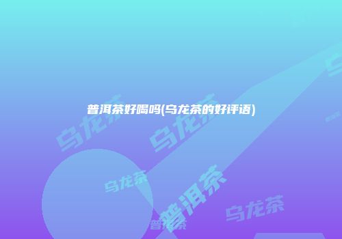 普洱茶好喝吗(乌龙茶的好评语)