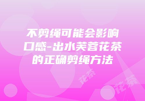 不剪绳可能会影响口感-出水芙蓉花茶的正确剪绳方法