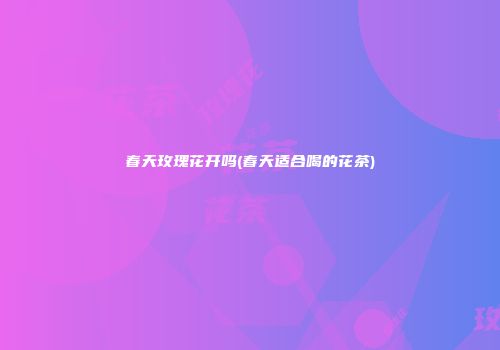 春天玫瑰花开吗(春天适合喝的花茶)
