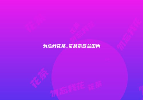 勿忘我花茶_花茶紫罗兰图片