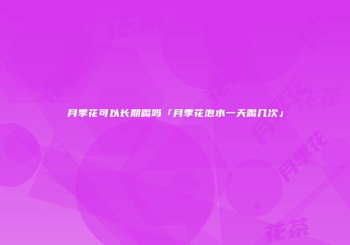 月季花可以长期喝吗「月季花泡水一天喝几次」