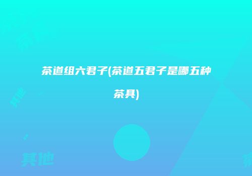 茶道组六君子(茶道五君子是哪五种茶具)