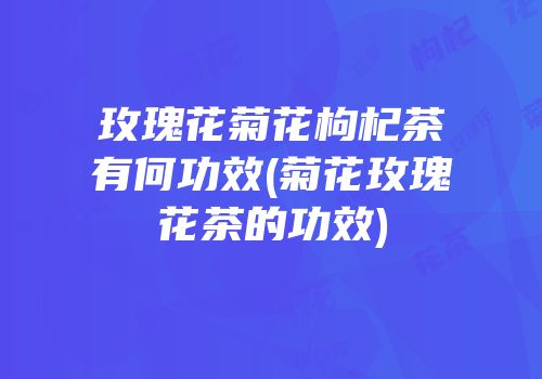 玫瑰花菊花枸杞茶有何功效(菊花玫瑰花茶的功效)