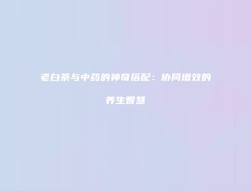 老白茶与中药的神奇搭配：协同增效的养生智慧