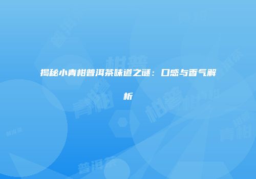 揭秘小青柑普洱茶味道之谜：口感与香气解析