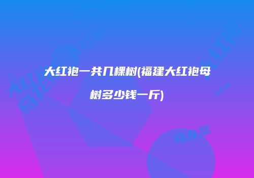 大红袍一共几棵树(福建大红袍母树多少钱一斤)