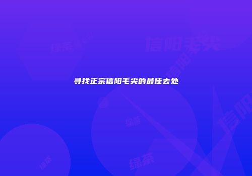 寻找正宗信阳毛尖的最佳去处