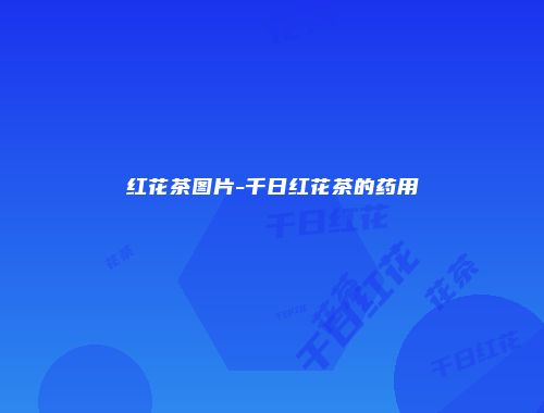 红花茶图片-千日红花茶的药用