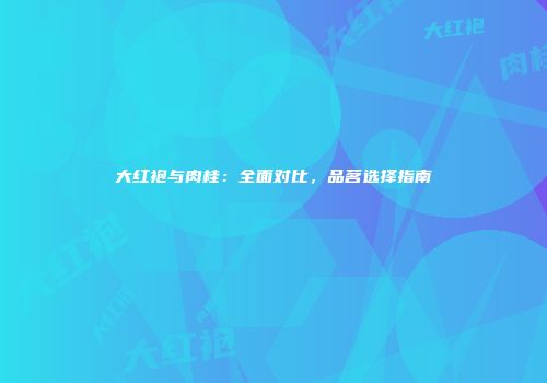大红袍与肉桂：全面对比，品茗选择指南