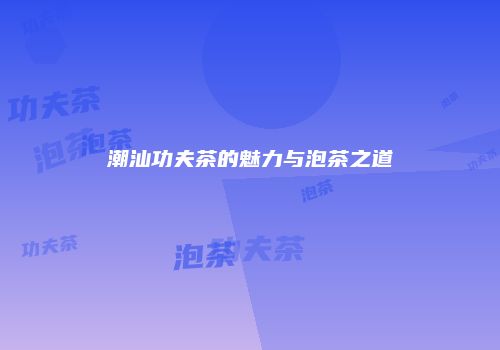 潮汕功夫茶的魅力与泡茶之道