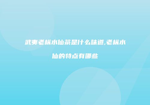 武夷老枞水仙茶是什么味道,老枞水仙的特点有哪些
