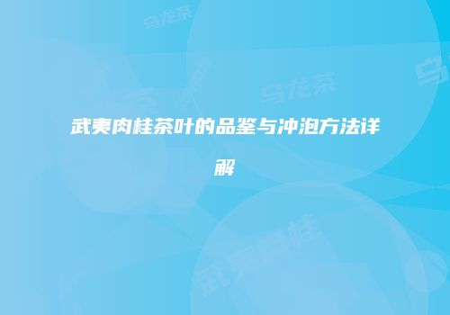 武夷肉桂茶叶的品鉴与冲泡方法详解