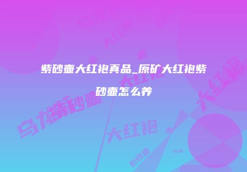 紫砂壶大红袍真品_原矿大红袍紫砂壶怎么养
