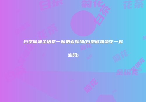 白茶能和金银花一起泡着喝吗(白茶能和菊花一起泡吗)