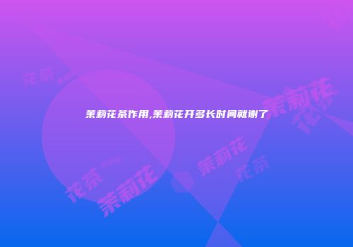 茉莉花茶作用,茉莉花开多长时间就谢了