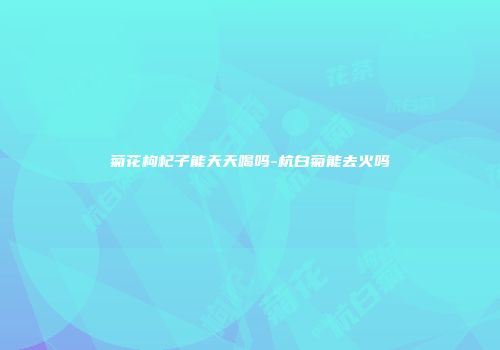 菊花枸杞子能天天喝吗-杭白菊能去火吗