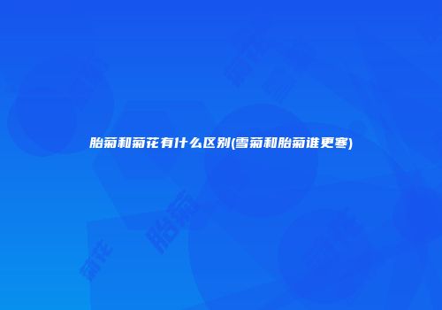 胎菊和菊花有什么区别(雪菊和胎菊谁更寒)