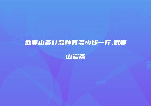 武夷山茶叶品种有多少钱一斤,武夷山岩茶