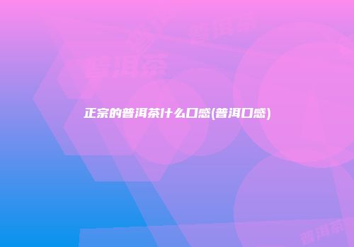 正宗的普洱茶什么口感(普洱口感)