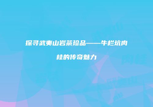 探寻武夷山岩茶珍品——牛栏坑肉桂的传奇魅力