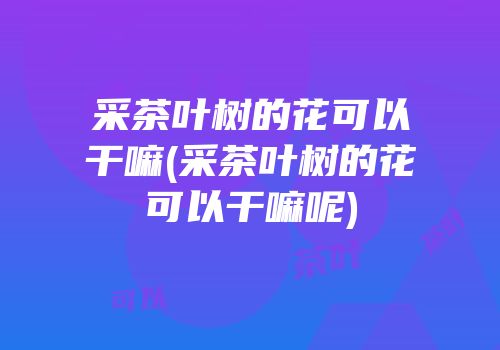 采茶叶树的花可以干嘛(采茶叶树的花可以干嘛呢)