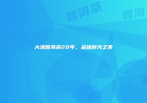 大滇普洱茶20年，品味时光之美