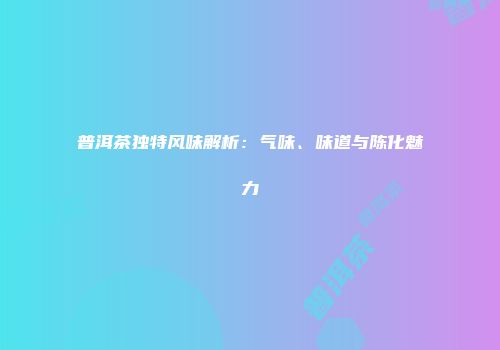 普洱茶独特风味解析：气味、味道与陈化魅力
