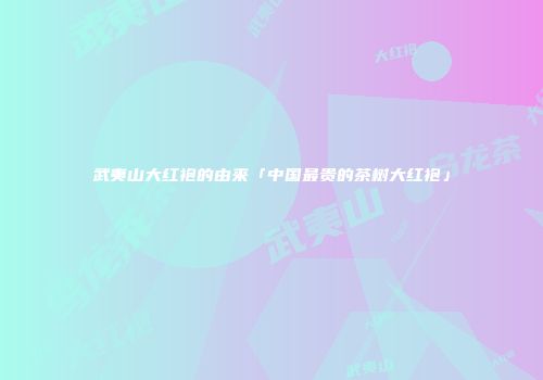 武夷山大红袍的由来「中国最贵的茶树大红袍」