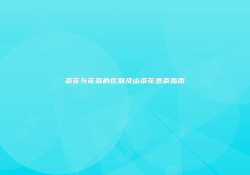 茶花与花茶的区别及山茶花泡茶指南