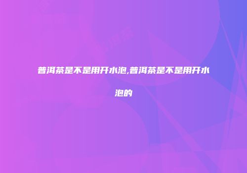普洱茶是不是用开水泡,普洱茶是不是用开水泡的