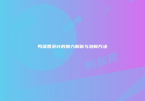 鸭屎香茶叶的魅力解析与泡制方法