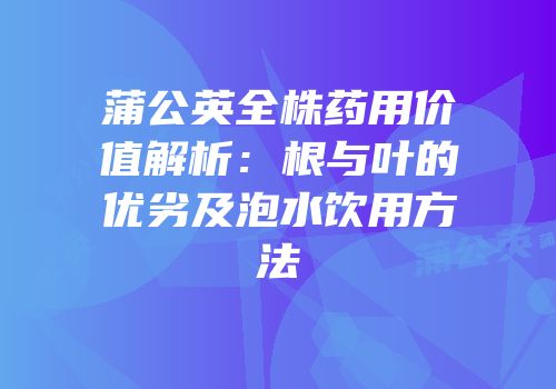 蒲公英全株药用价值解析：根与叶的优劣及泡水饮用方法