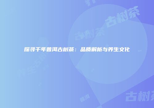 探寻千年普洱古树茶：品质解析与养生文化