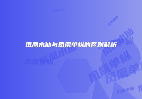 凤凰水仙与凤凰单枞的区别解析