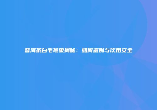 普洱茶白毛现象揭秘：如何鉴别与饮用安全