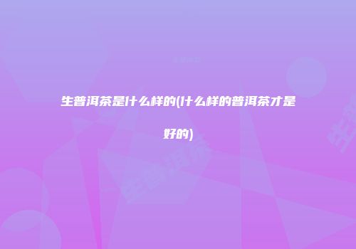 生普洱茶是什么样的(什么样的普洱茶才是好的)
