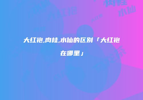 大红袍,肉桂,水仙的区别「大红袍在哪里」