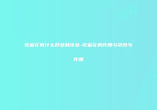 吃菊花有什么好处和坏处-吃菊花的作用与功效与作用