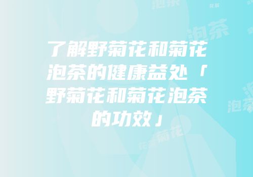 了解野菊花和菊花泡茶的健康益处「野菊花和菊花泡茶的功效」