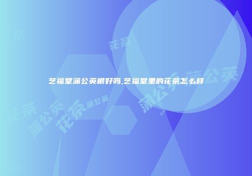 艺福堂蒲公英根好吗,艺福堂里的花茶怎么样