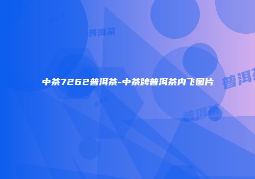 中茶7262普洱茶-中茶牌普洱茶内飞图片