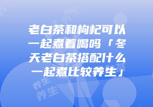 老白茶和枸杞可以一起煮着喝吗「冬天老白茶搭配什么一起煮比较养生」
