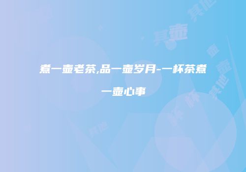 煮一壶老茶,品一壶岁月-一杯茶煮一壶心事