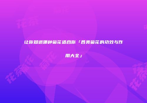 让你知道哪种菊花适合你「各类菊花的功效与作用大全」
