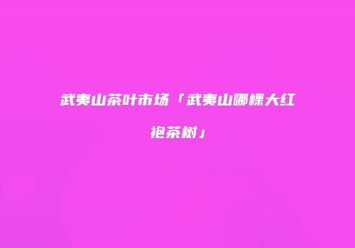 武夷山茶叶市场「武夷山哪棵大红袍茶树」