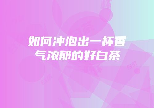 如何冲泡出一杯香气浓郁的好白茶