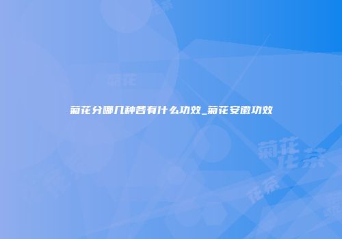菊花分哪几种各有什么功效_菊花安徽功效