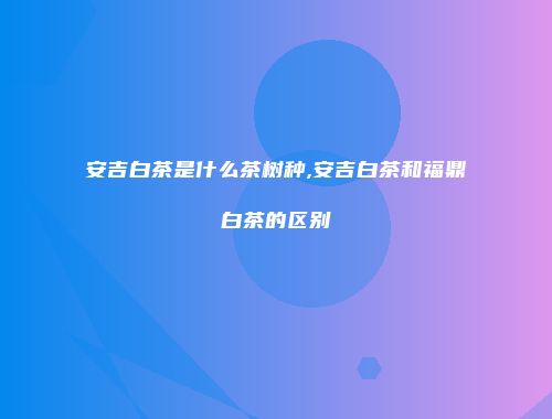 安吉白茶是什么茶树种,安吉白茶和福鼎白茶的区别